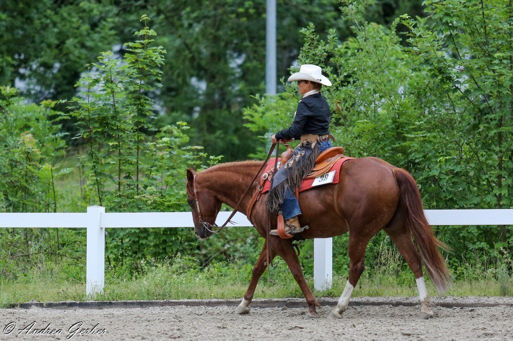 Swiss Ranch Horse Association - SRHA