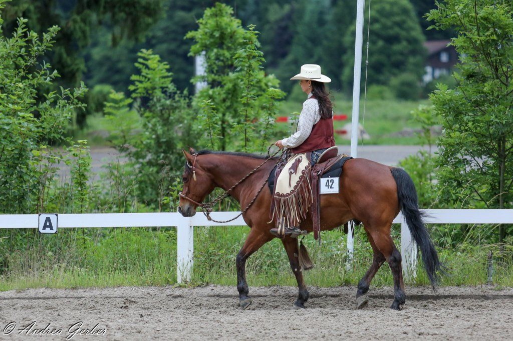 Swiss Ranch Horse Association - SRHA