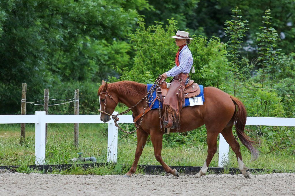 Swiss Ranch Horse Association - SRHA