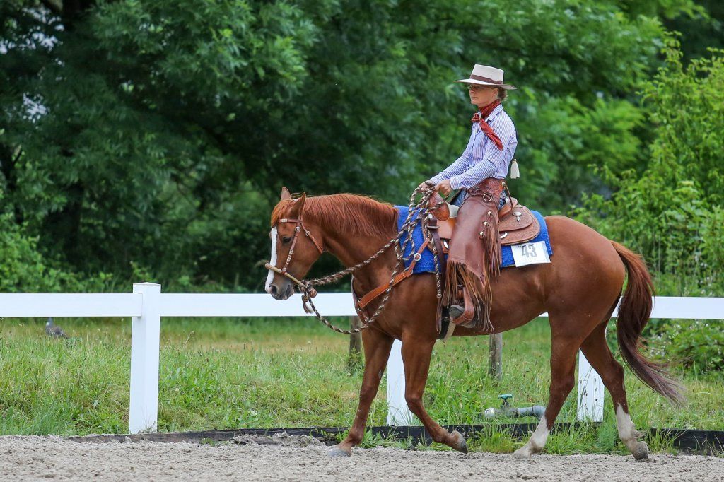 Swiss Ranch Horse Association - SRHA
