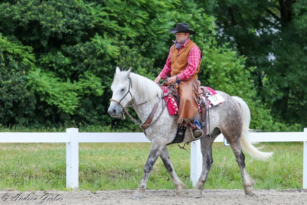 Swiss Ranch Horse Association - SRHA