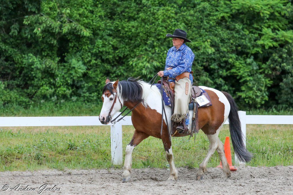 Swiss Ranch Horse Association - SRHA