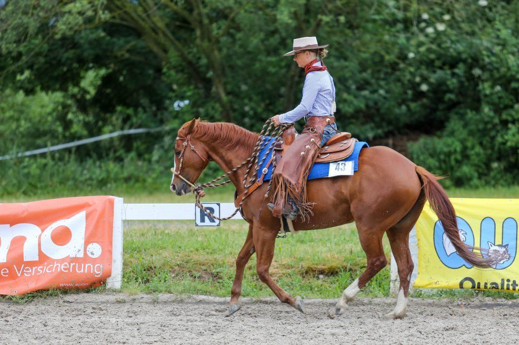 Swiss Ranch Horse Association - SRHA