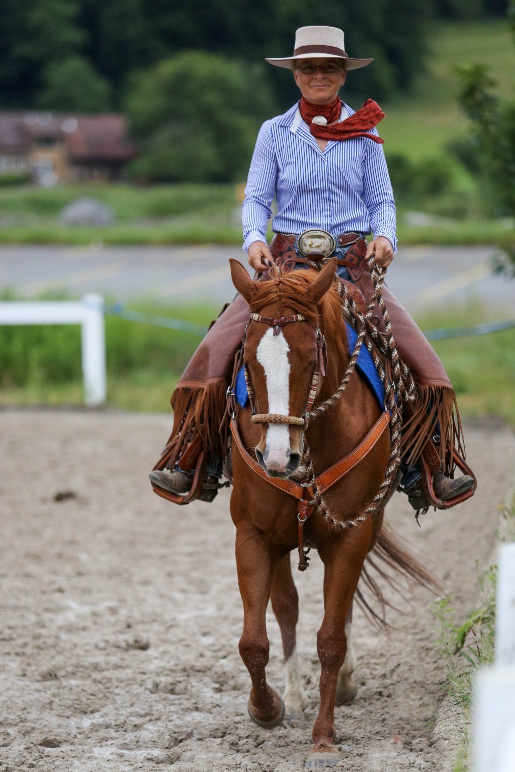Swiss Ranch Horse Association - SRHA