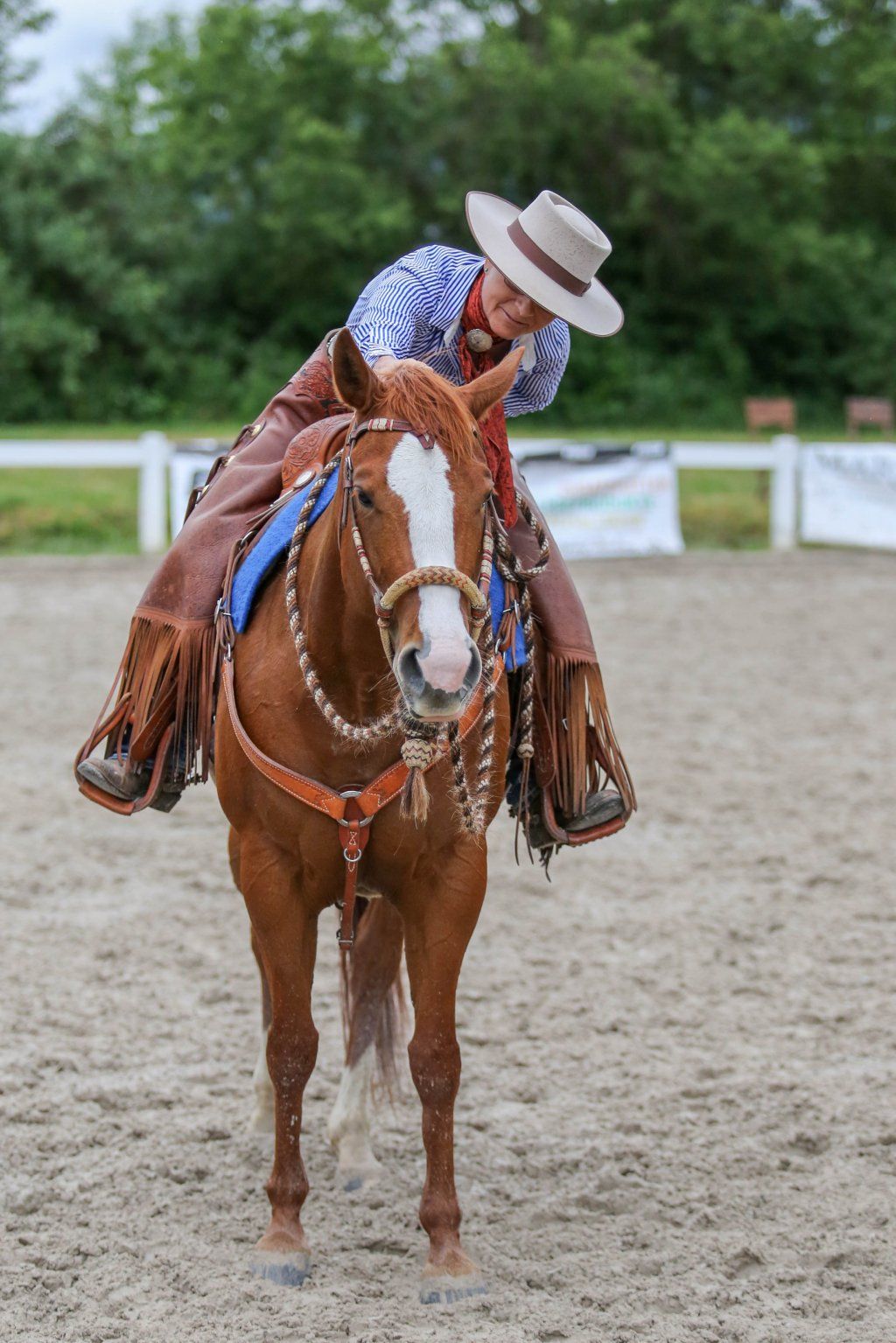 Swiss Ranch Horse Association - SRHA