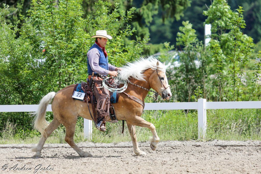 Swiss Ranch Horse Association - SRHA