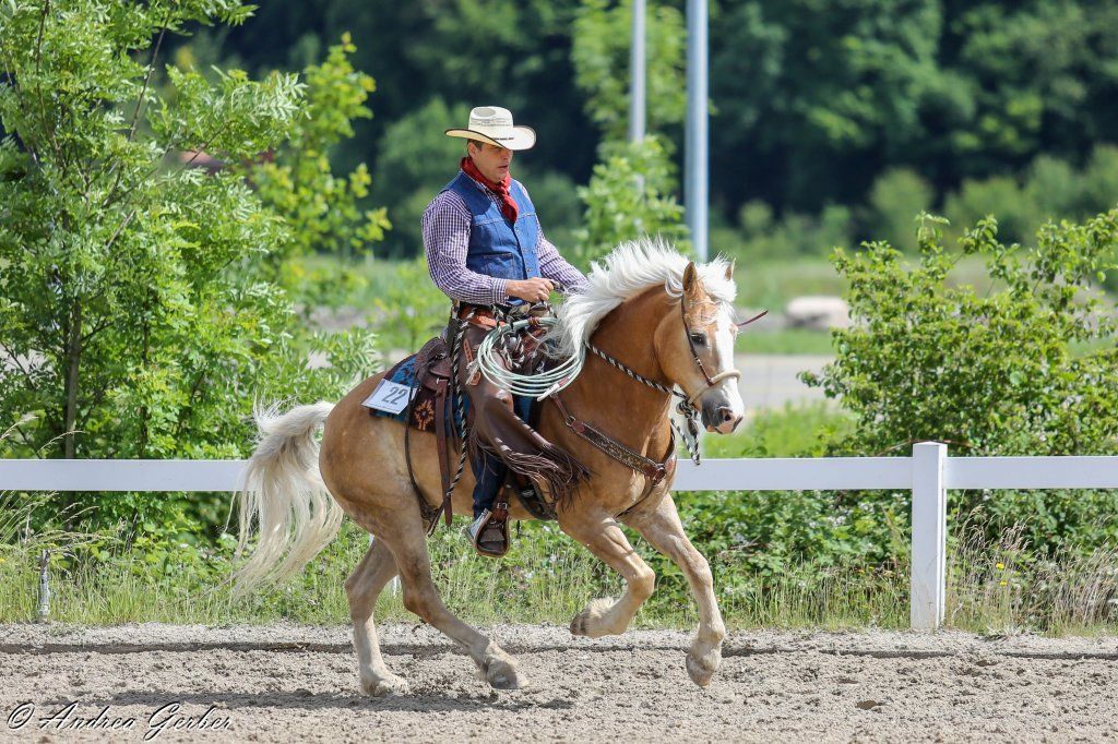 Swiss Ranch Horse Association - SRHA