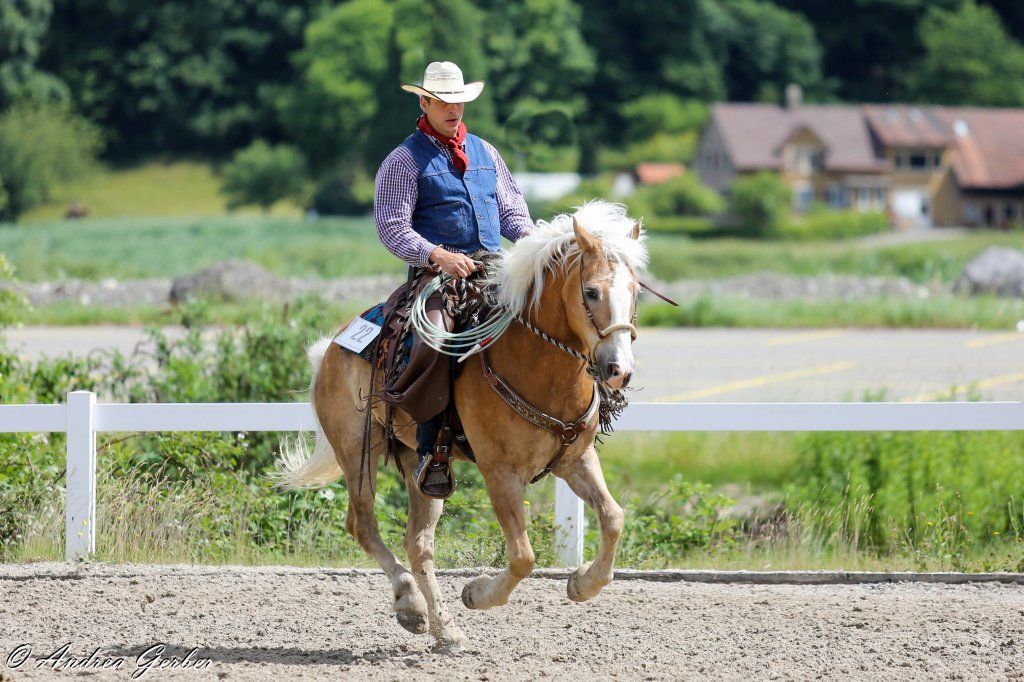 Swiss Ranch Horse Association - SRHA