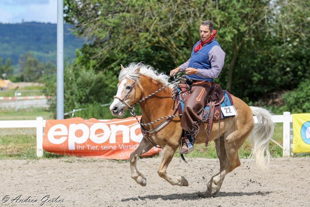 Swiss Ranch Horse Association - SRHA