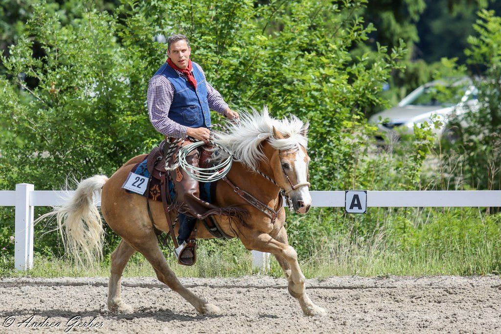 Swiss Ranch Horse Association - SRHA