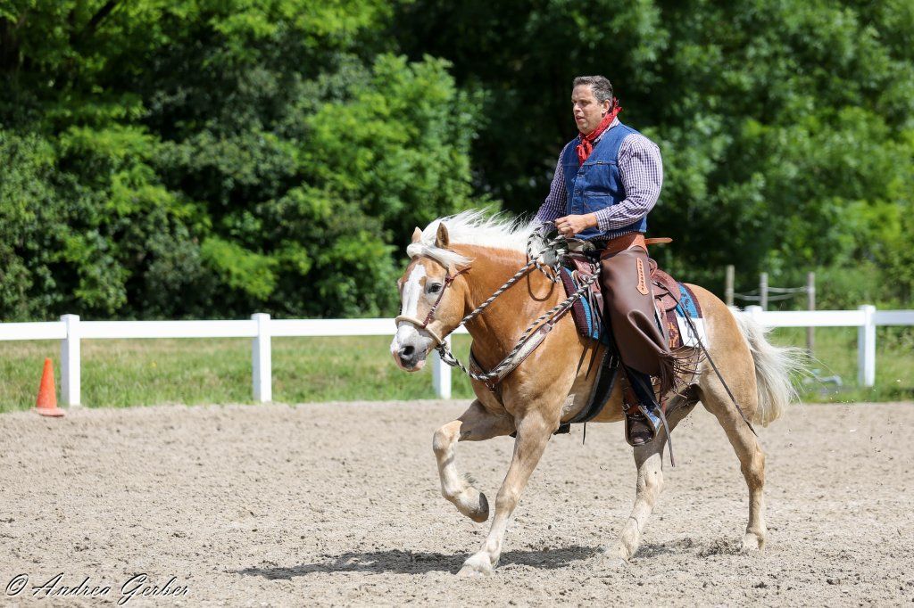 Swiss Ranch Horse Association - SRHA