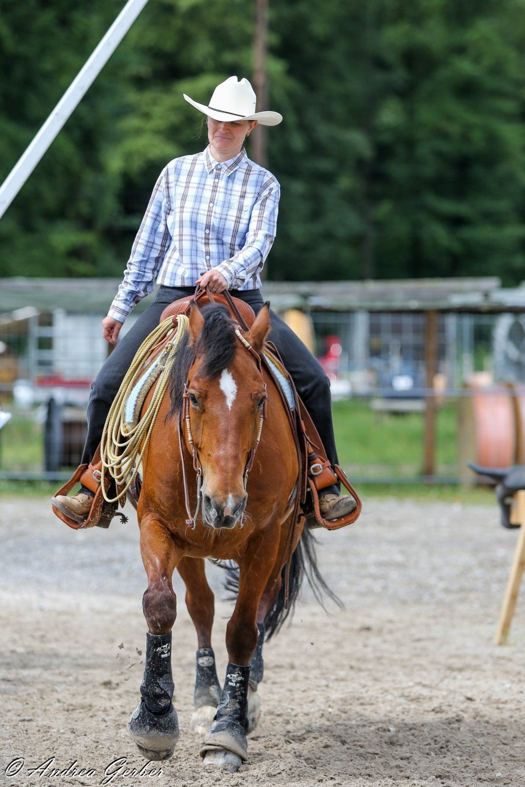 Swiss Ranch Horse Association - SRHA