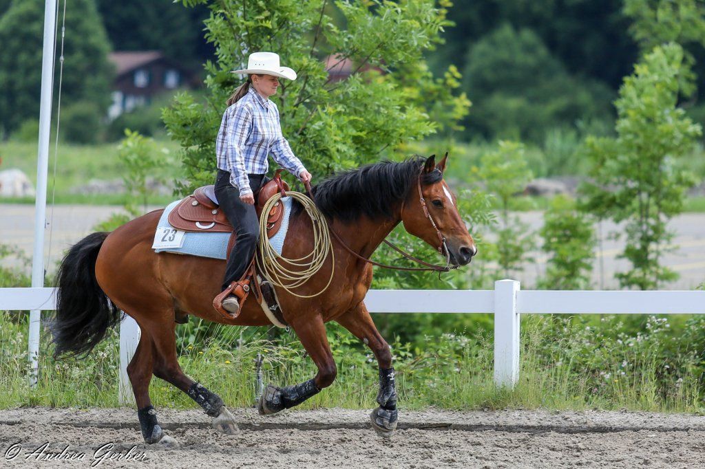Swiss Ranch Horse Association - SRHA