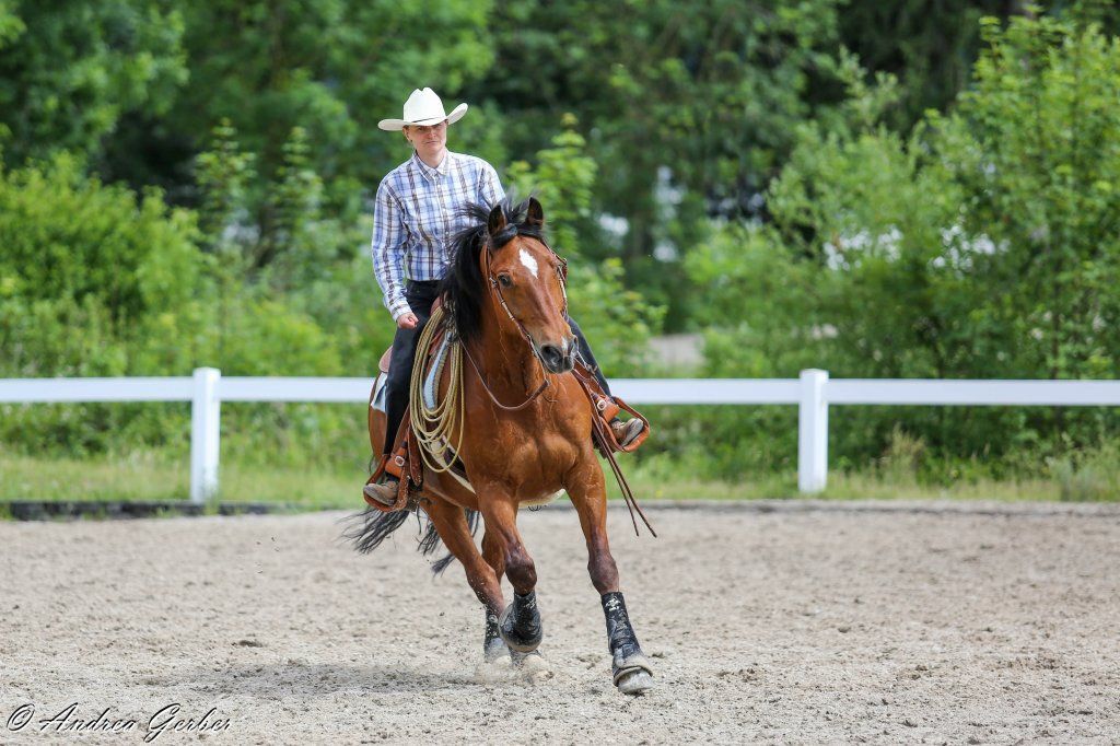 Swiss Ranch Horse Association - SRHA