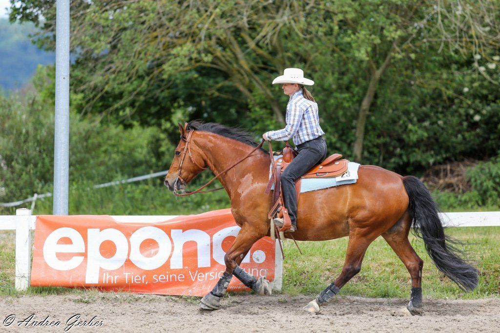 Swiss Ranch Horse Association - SRHA