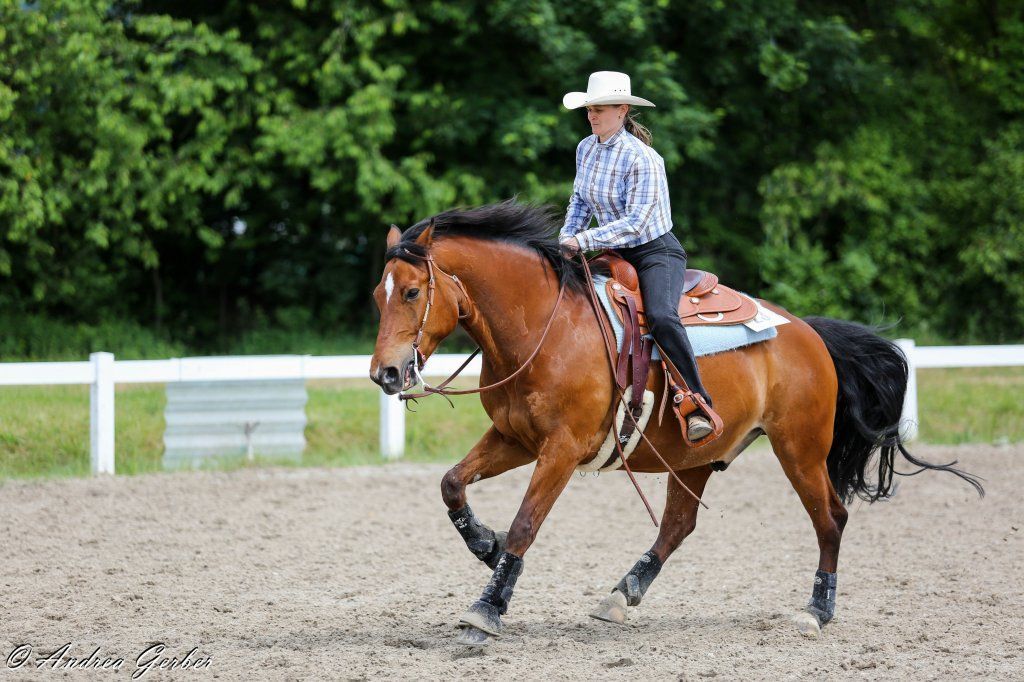 Swiss Ranch Horse Association - SRHA