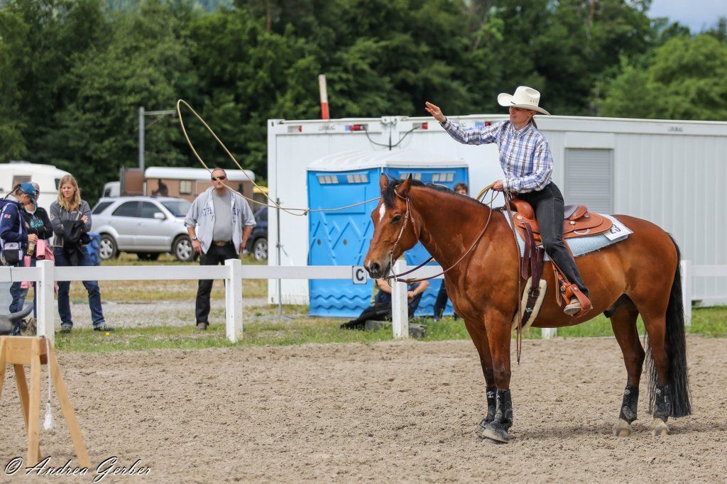 Swiss Ranch Horse Association - SRHA