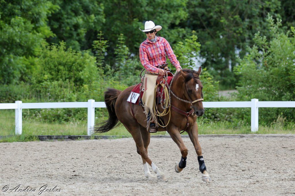 Swiss Ranch Horse Association - SRHA
