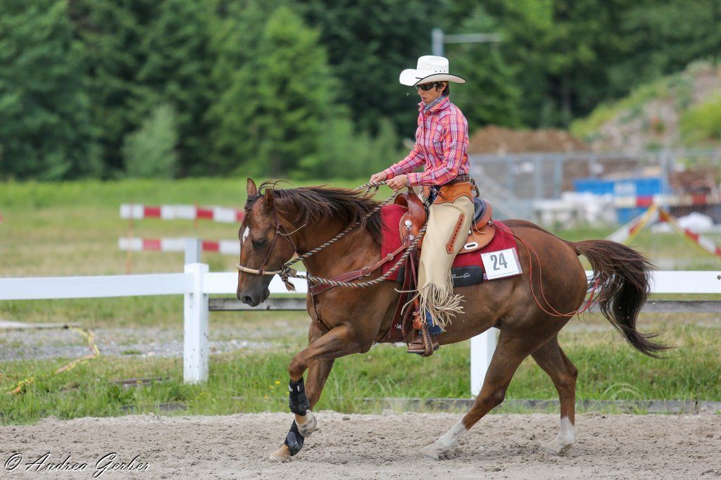 Swiss Ranch Horse Association - SRHA