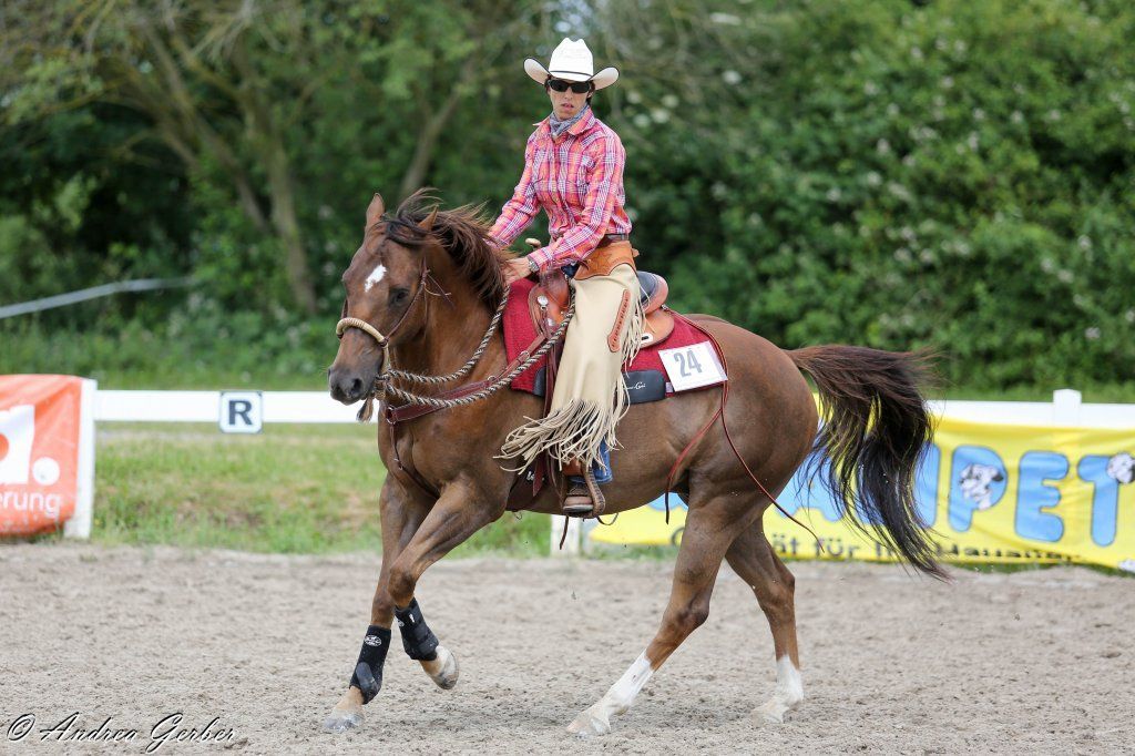Swiss Ranch Horse Association - SRHA