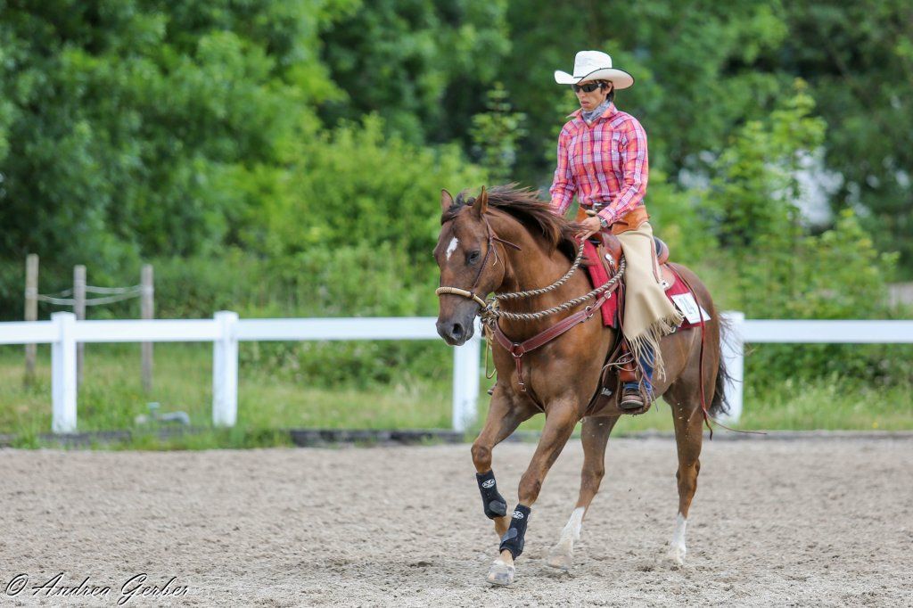 Swiss Ranch Horse Association - SRHA