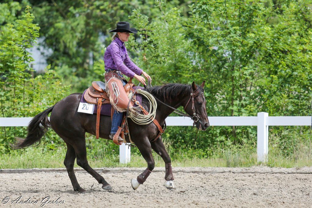 Swiss Ranch Horse Association - SRHA