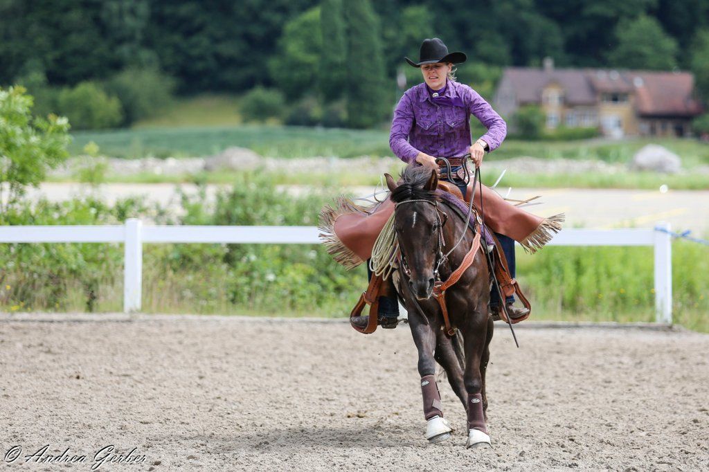 Swiss Ranch Horse Association - SRHA