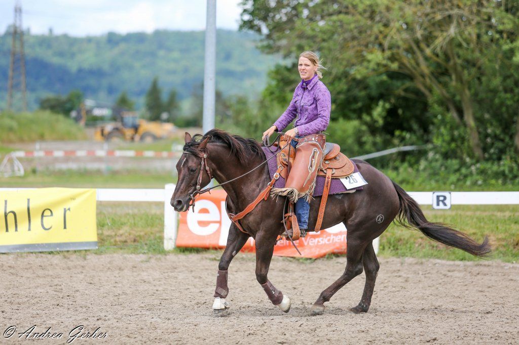 Swiss Ranch Horse Association - SRHA
