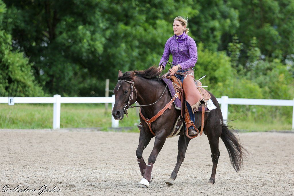 Swiss Ranch Horse Association - SRHA