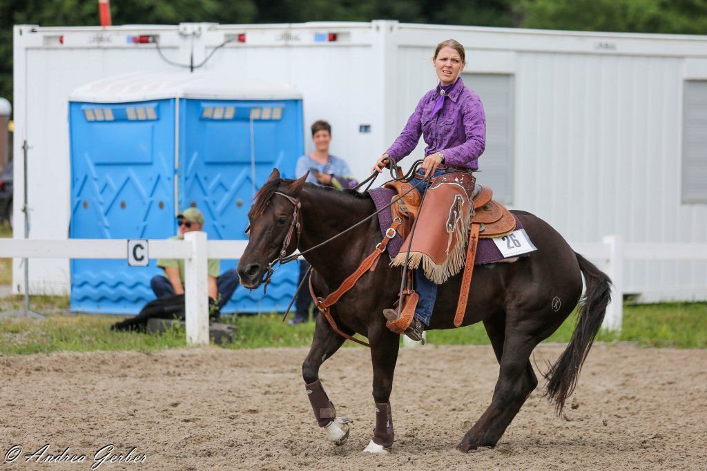 Swiss Ranch Horse Association - SRHA