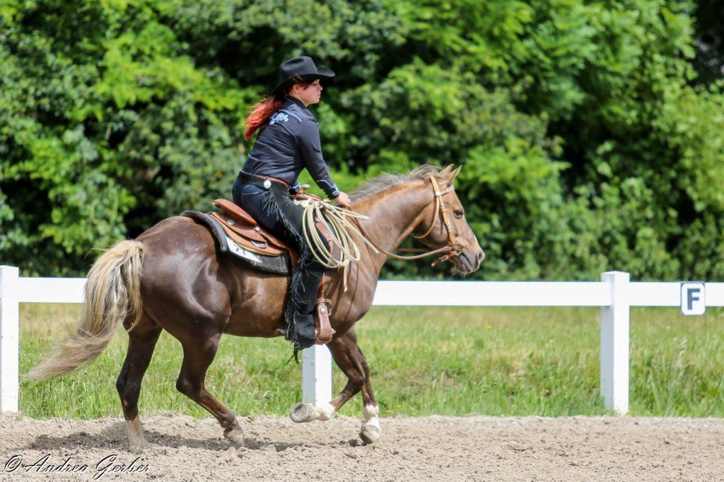 Swiss Ranch Horse Association - SRHA