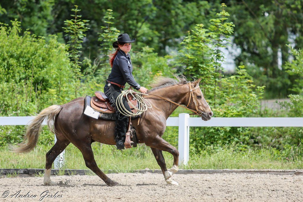 Swiss Ranch Horse Association - SRHA