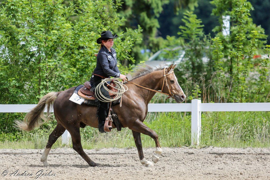 Swiss Ranch Horse Association - SRHA