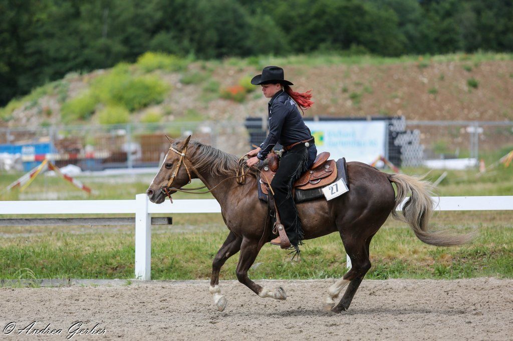 Swiss Ranch Horse Association - SRHA