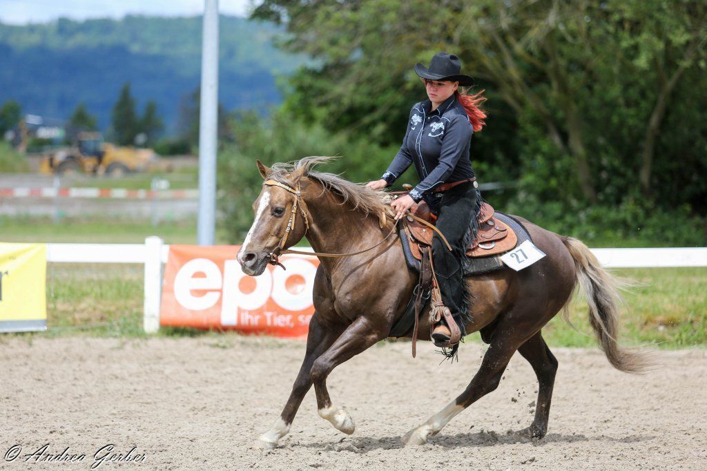 Swiss Ranch Horse Association - SRHA
