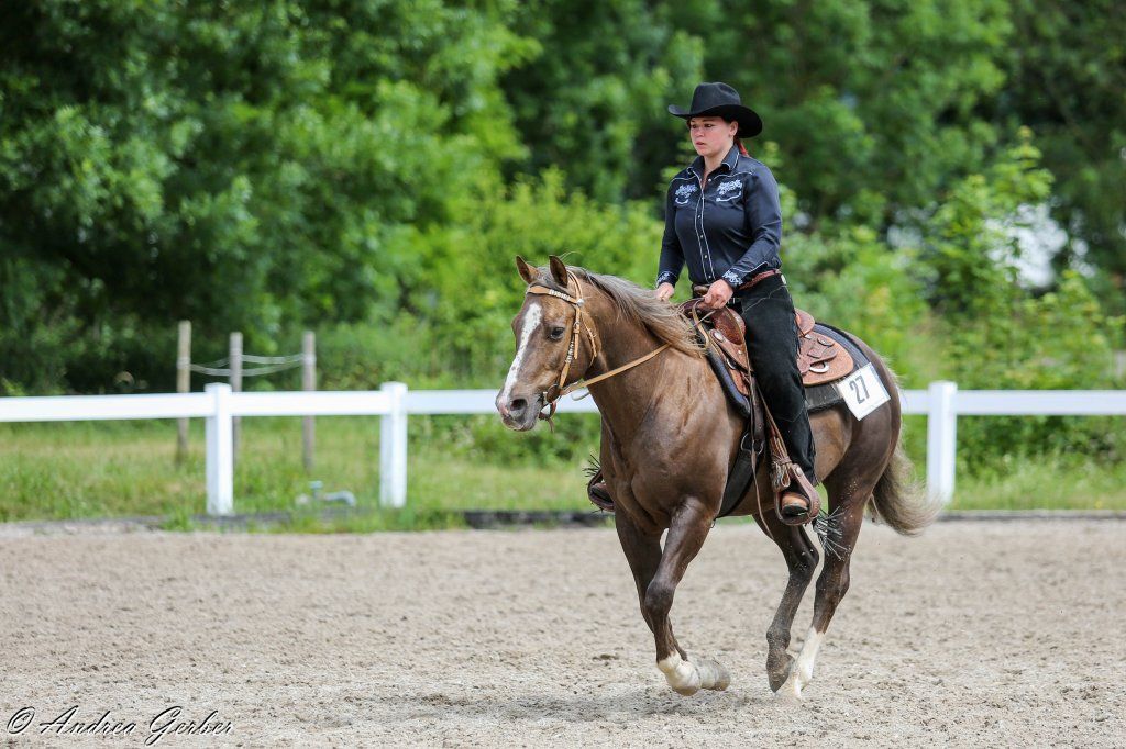 Swiss Ranch Horse Association - SRHA