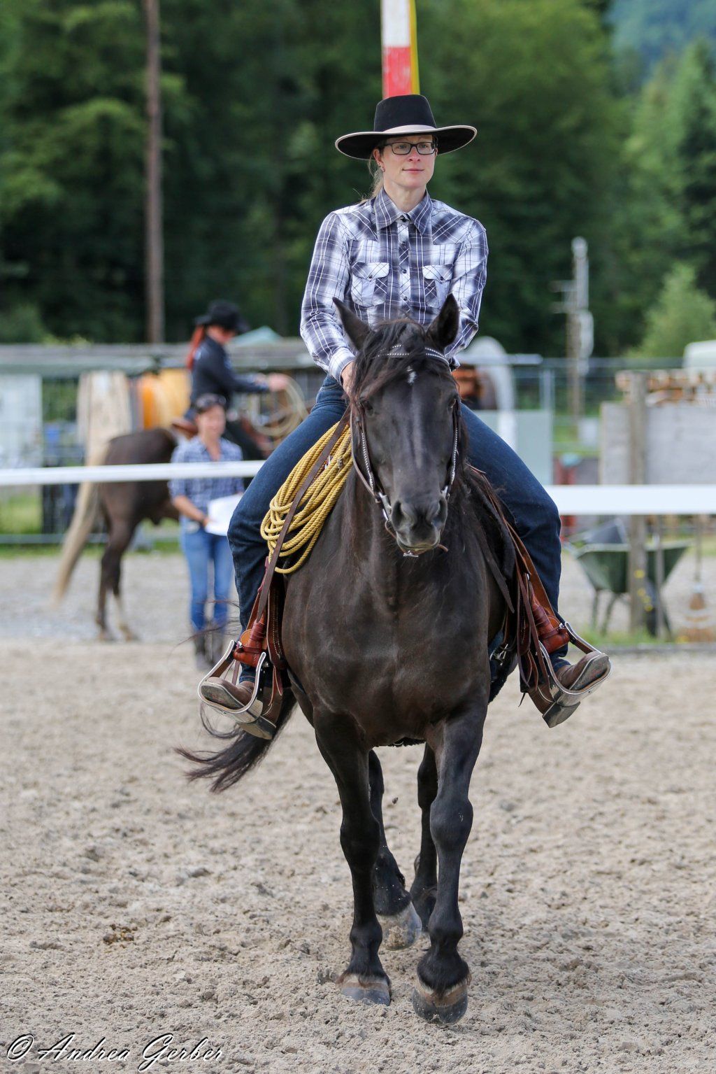 Swiss Ranch Horse Association - SRHA