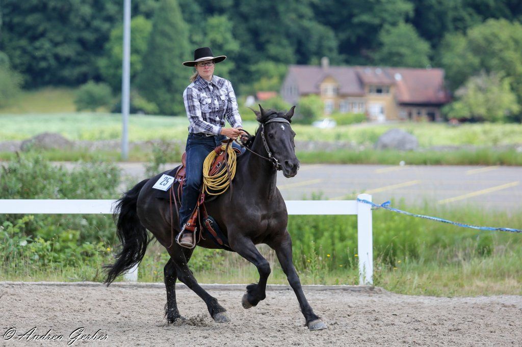 Swiss Ranch Horse Association - SRHA