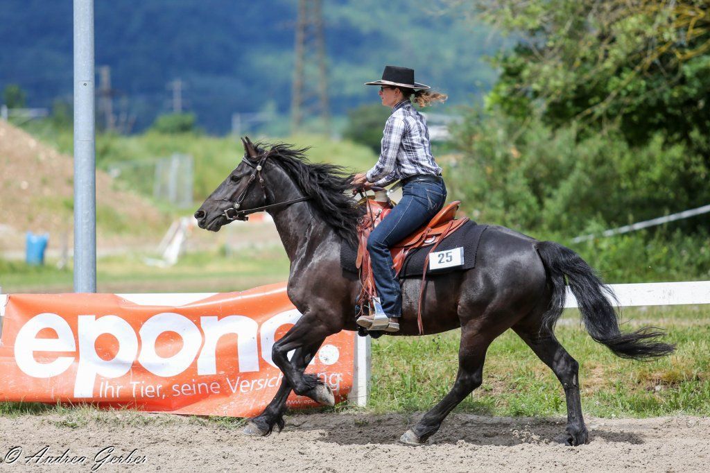 Swiss Ranch Horse Association - SRHA