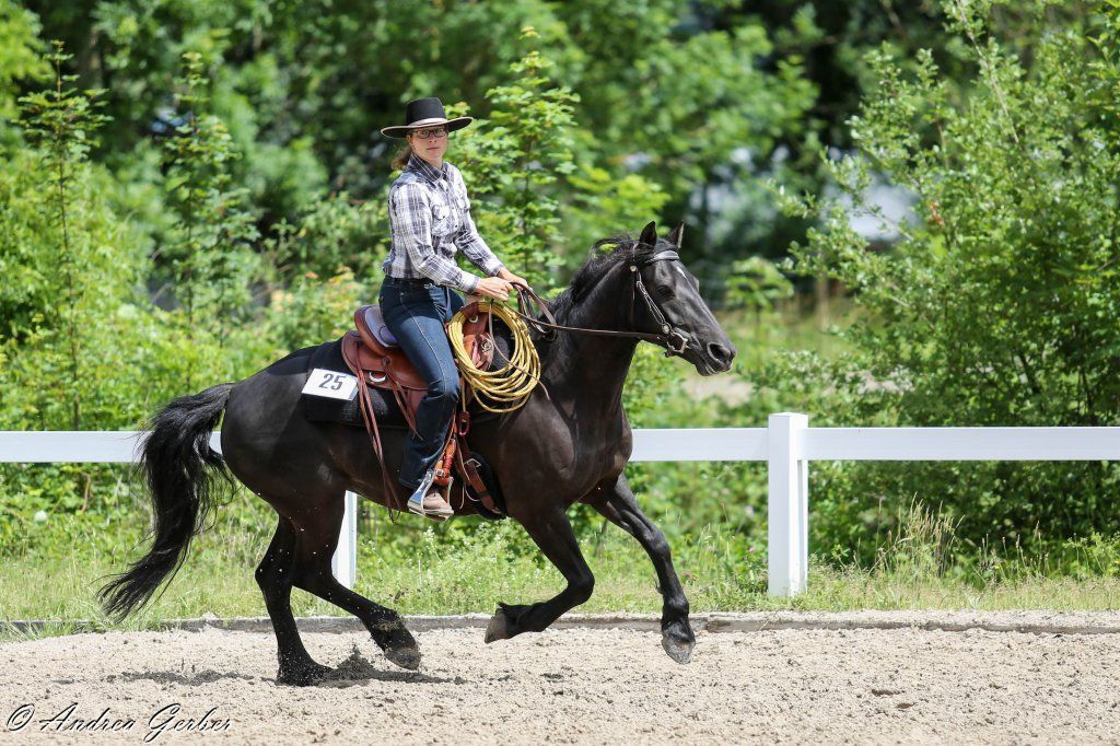 Swiss Ranch Horse Association - SRHA