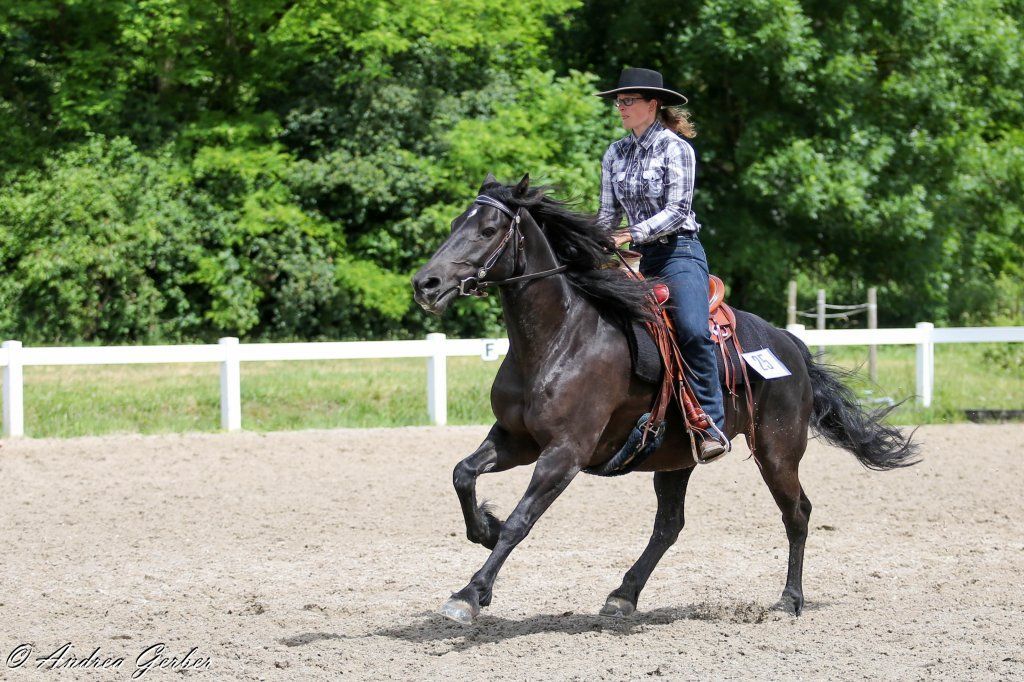 Swiss Ranch Horse Association - SRHA