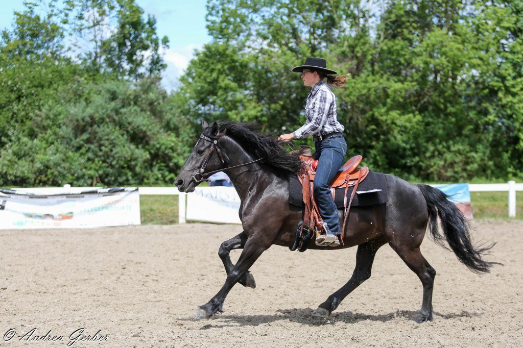 Swiss Ranch Horse Association - SRHA