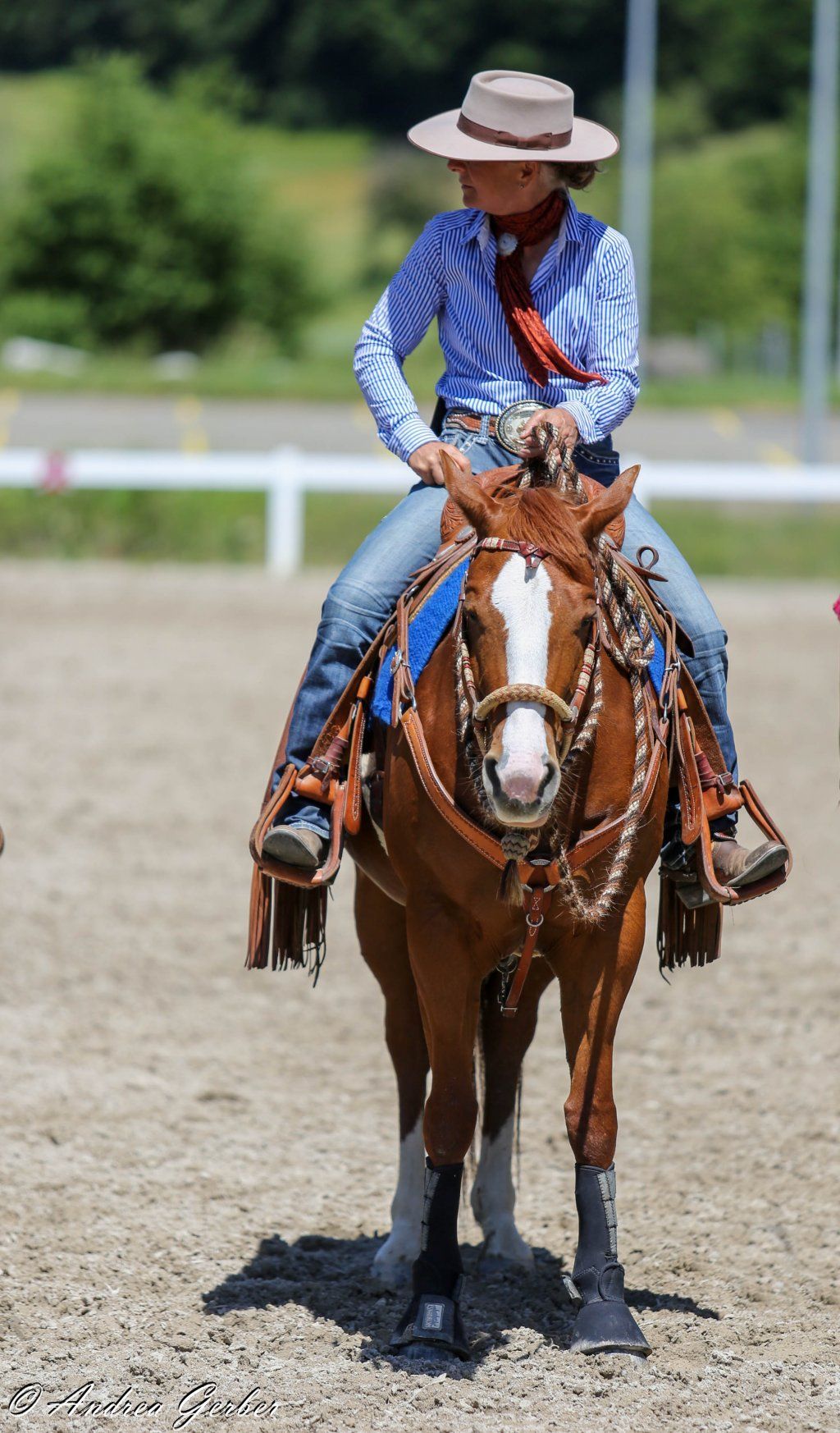 Swiss Ranch Horse Association - SRHA