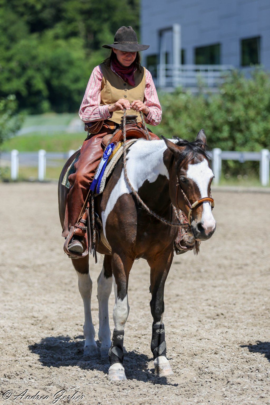 Swiss Ranch Horse Association - SRHA