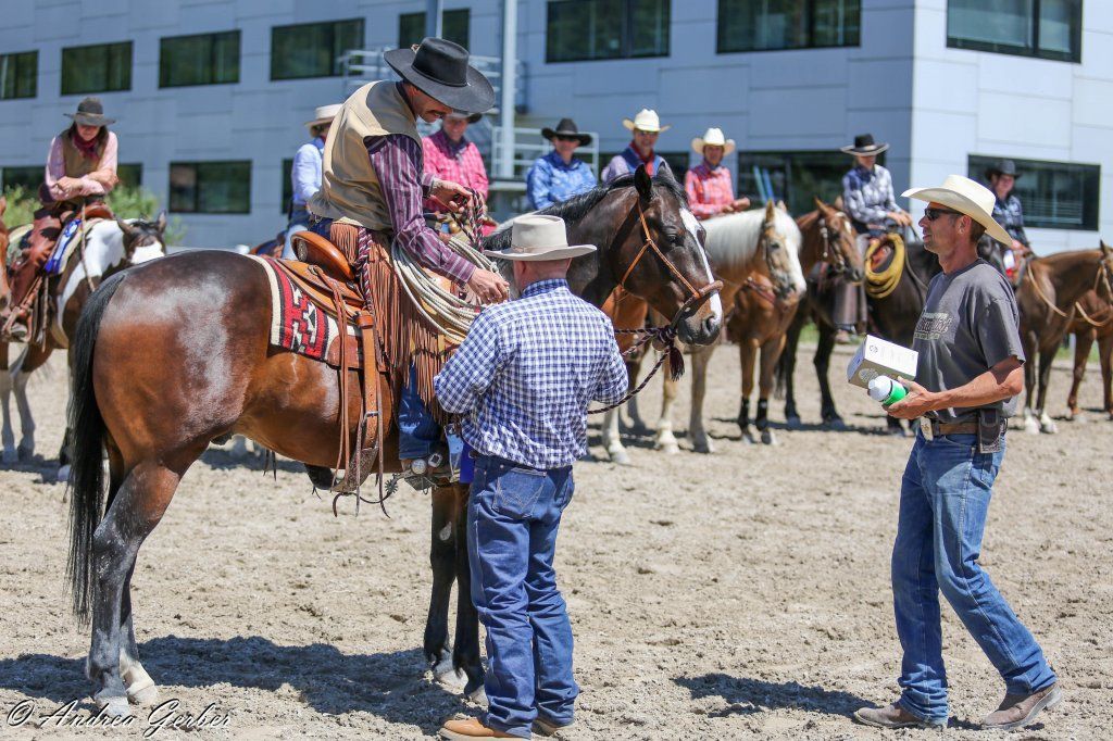 Swiss Ranch Horse Association - SRHA