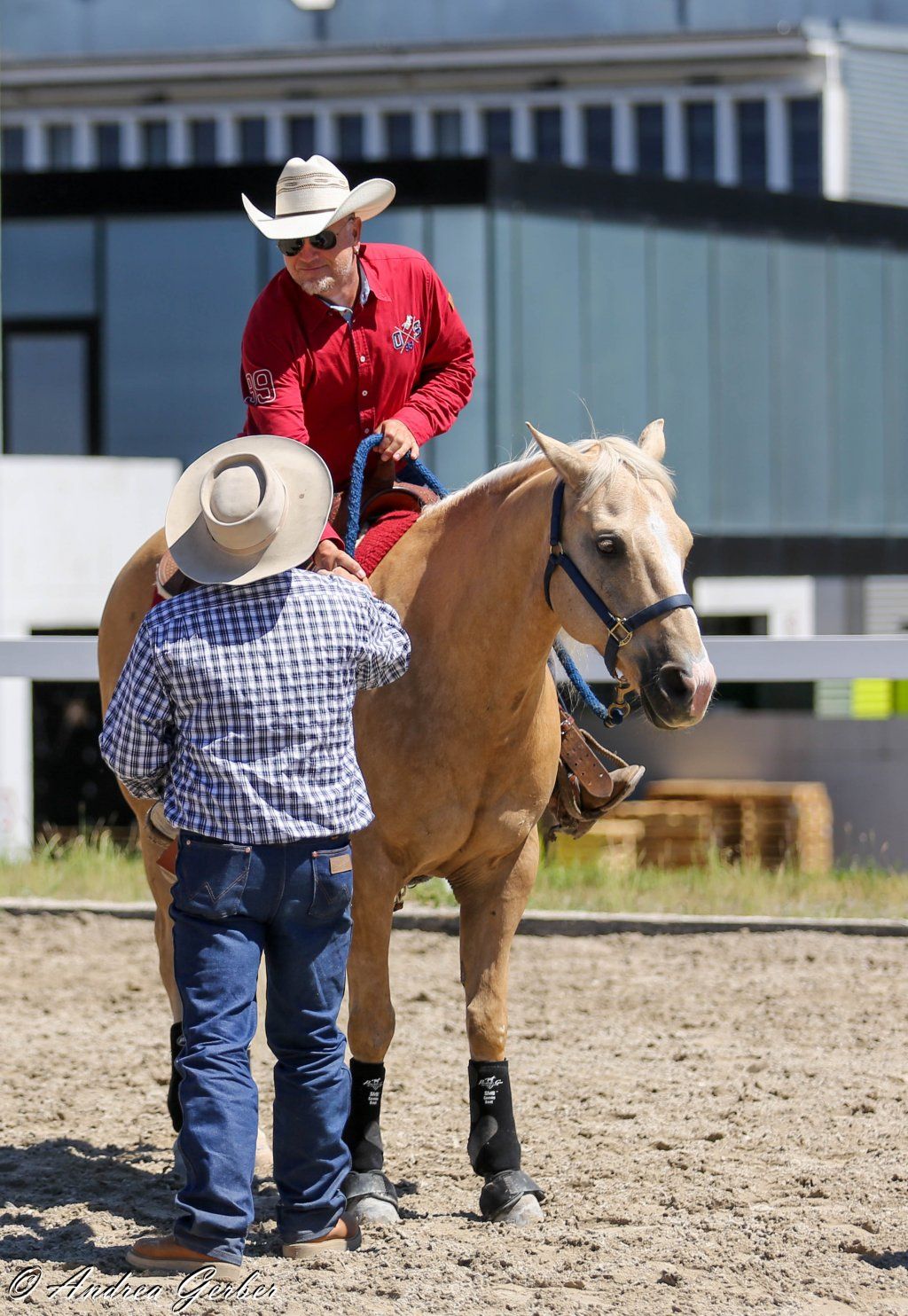 Swiss Ranch Horse Association - SRHA