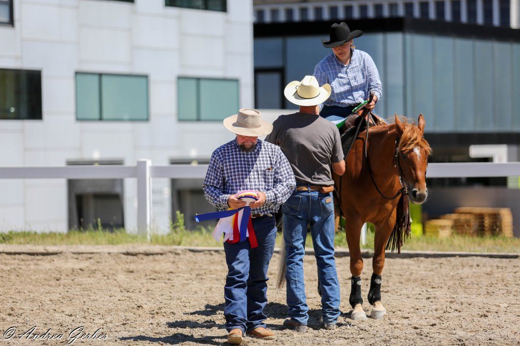 Swiss Ranch Horse Association - SRHA