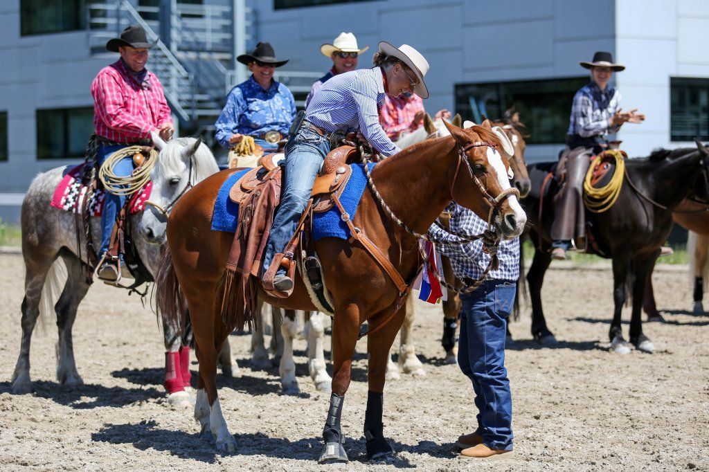 Swiss Ranch Horse Association - SRHA