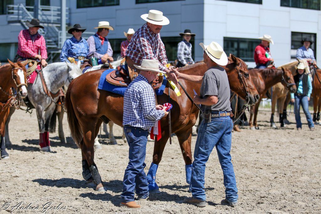 Swiss Ranch Horse Association - SRHA