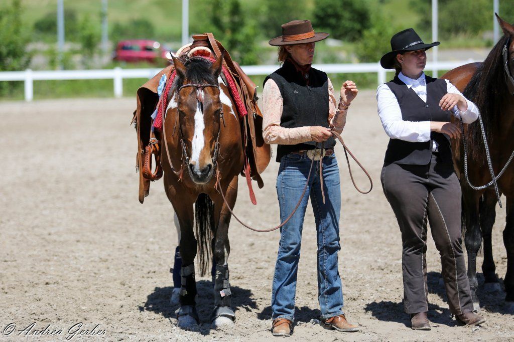 Swiss Ranch Horse Association - SRHA